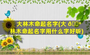 大林木命起名字(大 🐺 林木命起名字用什么字好听)
